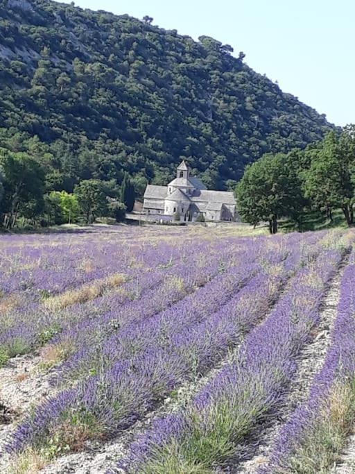 Bastidon Plein Sud Villa Gordes Exterior photo